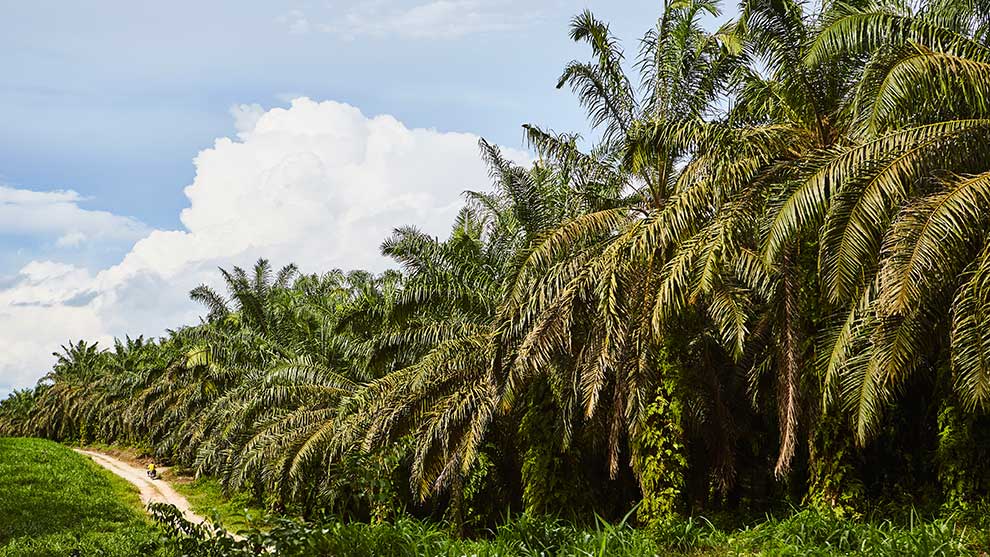 Agro, Food Systems & Rural Commerce